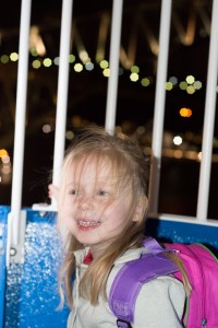 I think River enjoyed the ferris wheel more than the actual concert. Perhaps a trip to luna park is in order for the new year.